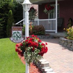 Cote's Bed & Breakfast, Grand Falls, NB opening hours