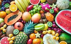 Jirstrek Fruits Ltee, Saint-Laurent, QC opening hours