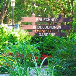 Rhododendron Gardens, Mississauga, ON opening hours