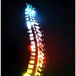 Calgary Spine and Sport, opening hours