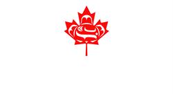 Cancom Security, North York, ON opening hours