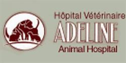 Adeline Animal Hospital, Moncton, NB opening hours