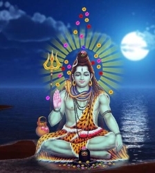 Psychic Durga Prasad, Toronto, ON opening hours