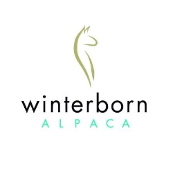 Winterborn Alpaca Canada, Toronto, ON opening hours