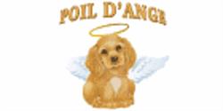 Poil d'Ange Enr, Rimouski, QC opening hours
