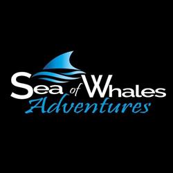 Sea of Whales Adventures, Trinity, NL opening hours