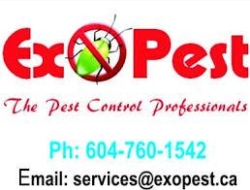 Exopest, Surrey, BC opening hours