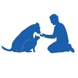 Toronto Animal Health Partners Emergency and Specialty Hospital, North York, ON opening hours