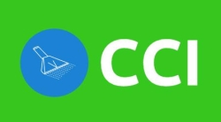 CCI Carpet Cleaning Port Coquitlam, opening hours