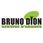 Dion Bruno Émondeur, Québec, QC opening hours