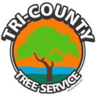 Tri-County Tree Service, Grand Bend, ON opening hours