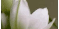 Espace Massage Yoga Marie Annick Lapointe, Bois-des-Filion, QC opening hours