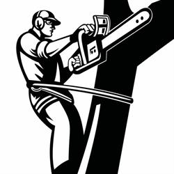 Sherlock Tree Removal, Inwood, MB opening hours