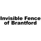Invisible Fence of Brantford, opening hours