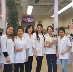 Kim Lu Nails & Spa, Red Deer, AB opening hours