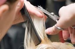 Salon Posh, Greely, ON opening hours