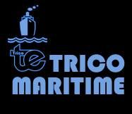 Trico Maritime Freight Forwarding Cda In, Scarborough, ON opening hours