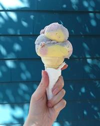 Dee Dee's Ice Cream, Halifax, NS opening hours