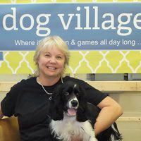 Dog Village, Markham, ON opening hours