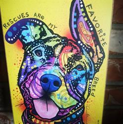 Prince George Animal Rescue, opening hours
