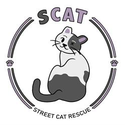 SCAT Street Cat Rescue Program, Saskatoon, SK opening hours