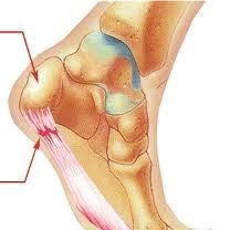 Toronto Orthotics Foot, Leg and Back Pain Clinic (North York), opening hours
