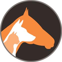 Dragon Veterinary Inc, Bedford, NS opening hours