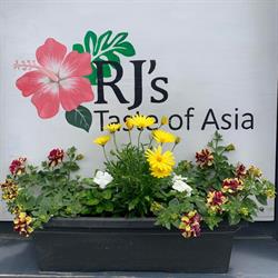 RJ's Taste of Asia, Orangeville, ON opening hours
