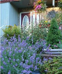 Nordvik Manor Bed and Breakfast, New Westminster, BC opening hours