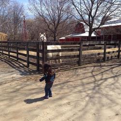 Children's Animal Farm, Sarnia, ON opening hours