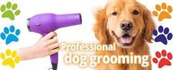 Cuts and Cuddles Dog Spa, Cambridge, ON opening hours