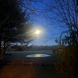 Carousel Stables, St. Williams, ON opening hours