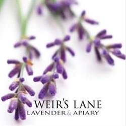 Weir's Lane Lavender & Apiary, Dundas, ON opening hours