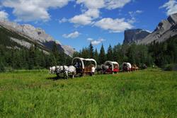 Alberta Carriage Supply, Calgary, AB opening hours