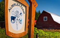 Alderlea Farm and Cafe, Duncan, BC opening hours