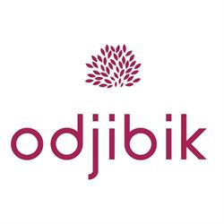 Odjibik Hair Repair, Toronto, ON opening hours