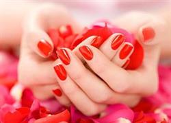 Envy Nails, Shediac, NB opening hours