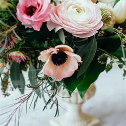 Confetti Floral Design, Abbotsford, BC opening hours