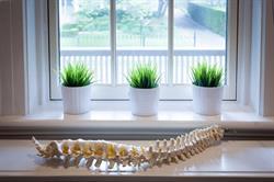 Norris Place Chiropractic, St. Catharines, ON opening hours