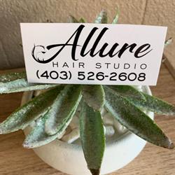 Allure Hair Studio, Medicine Hat, AB opening hours