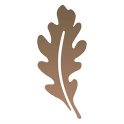Wild Ridge Landscapes Inc., Nepean, ON opening hours