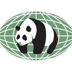 PANDA Environmental Services Inc., Kitchener, ON opening hours