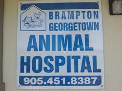 Brampton Georgetown Animal Hospital, opening hours