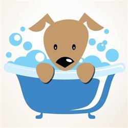 Justina's Dog Grooming, Fort Saskatchewan, AB opening hours