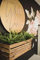 White Dahlia Salon & Spa, Wainwright, AB opening hours