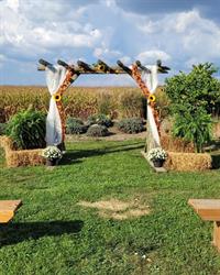 The Lavender Farm, Ayr, ON opening hours