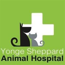 Yonge Sheppard Animal Hospital, North York, ON opening hours