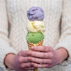 Blue Spruce Ice Cream, Courtenay, BC opening hours