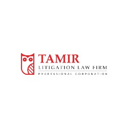 Tamir Litigation Law Firm Professional Corp, Richmond Hill, ON opening hours