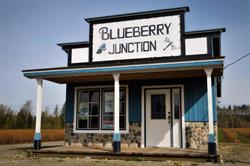 Blueberry Junction, Abbotsford, BC opening hours